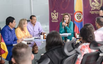 $1.000 millones para la Feria Ibagué Negocios y Moda