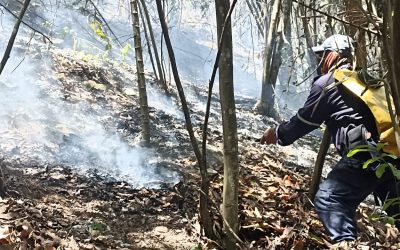 Fenómeno del niño iría hasta junio
