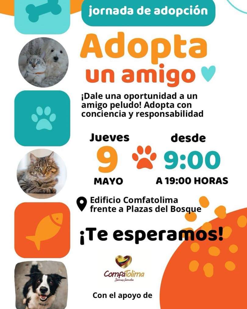 FB_IMG_1715009720679