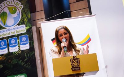 Calamidad Pública en todo el Tolima