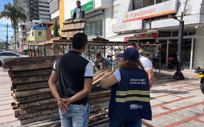 Ojo a las tarimas donde van a ver los desfiles