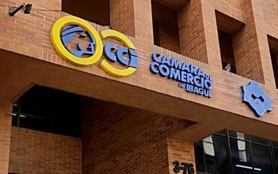 ¿Les quedó grande? La elección del Presidente Ejecutivo