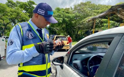 Vehículo mal parqueado en Ibagué, será multado