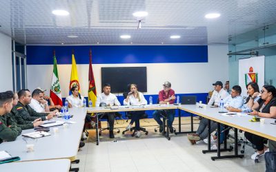 Autoridades en el Tolima evalúan acciones de seguridad en el sur