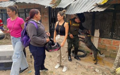 Rescatan a “niña” una perra de raza pitbull abandonada