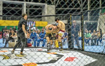 Ibagué vivió una «Noche de Titanes»