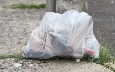 Que no te coja la tarde con la BASURA