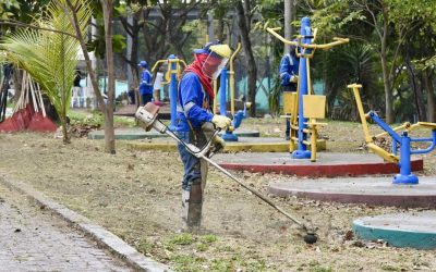 El barrio Villa del Sol ya tiene su ‘Club de jardinería’