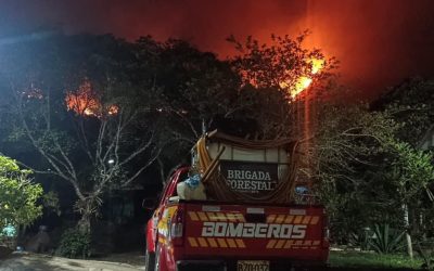 Incendios forestales han dejado millonarios daños