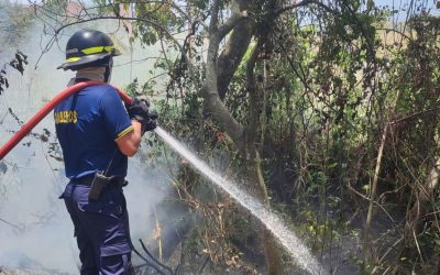Bomberos apagaron 15 incendios forestales este fin de semana en Ibagué