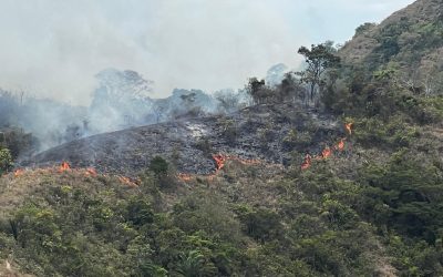ComfaTolima se suma al esfuerzo por apoyar a damnificados