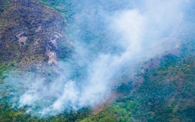 Hasta $10 millones por denunciar a quienes provoquen incendios forestales
