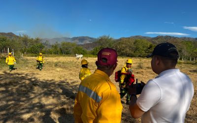 Incendio en Natagaima fue apagado después de 19 días