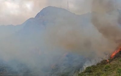 Voraz incendio en Gualanday, hacia el peaje