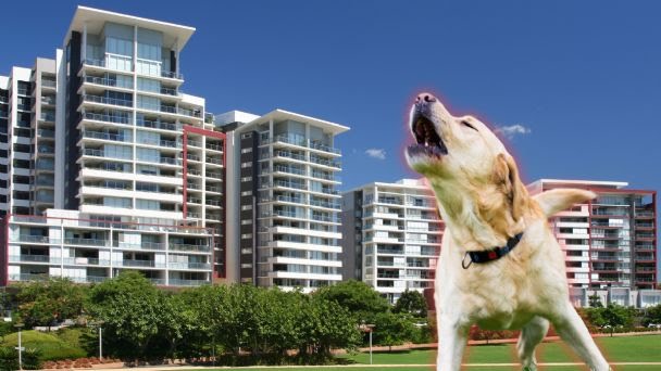 f608x342-35520_65243_5050