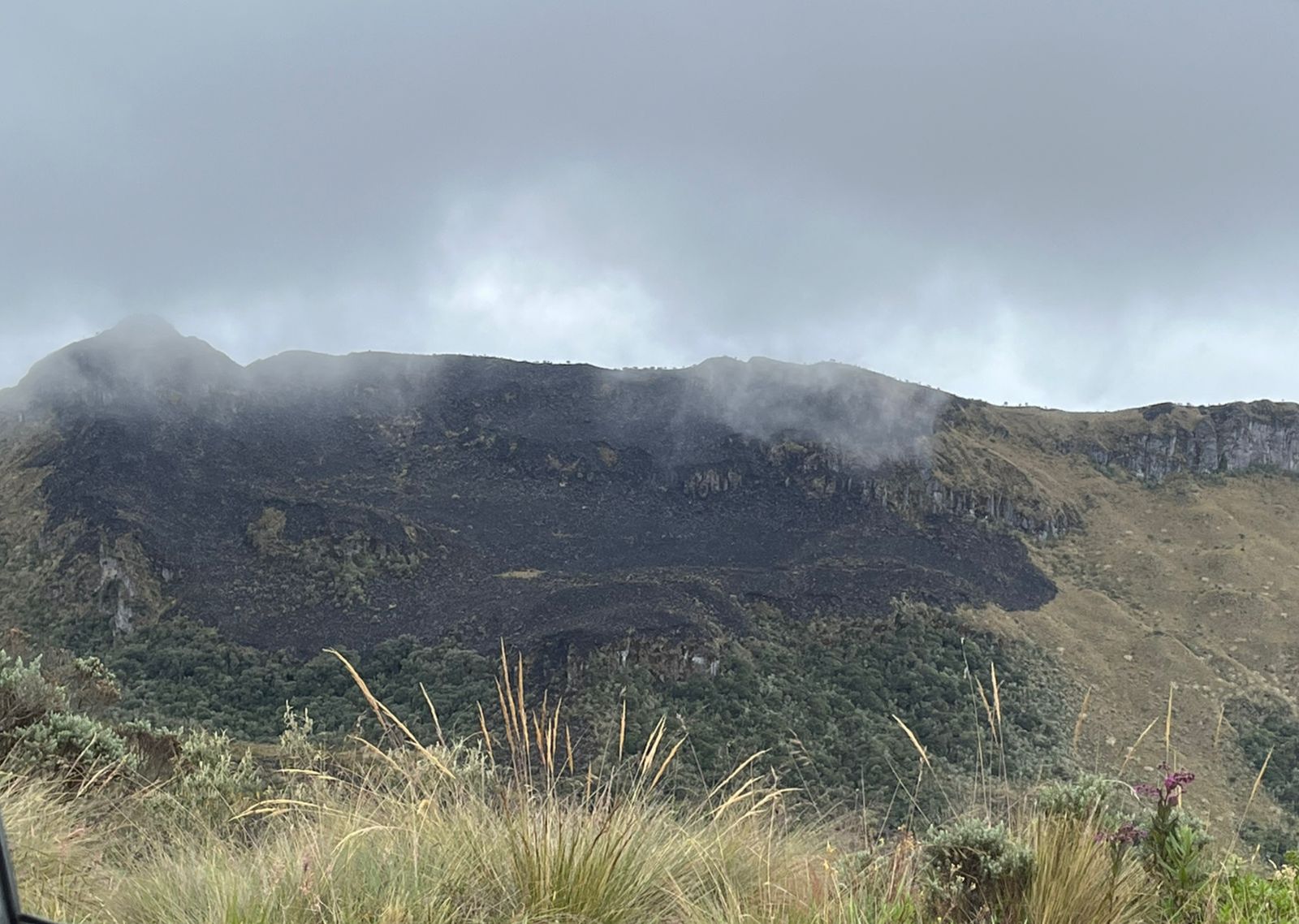 IMG-20241014-WA0019