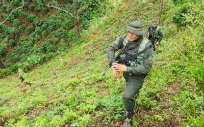 3 hombres fueros asesinados en el Tolima