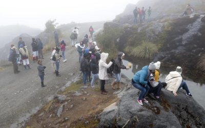 grave afectación en el turismo de Murillo por pico y placa