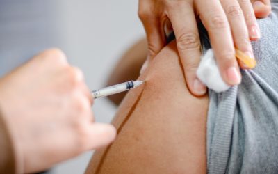 ¿Todavía no se vacuna contra la fiebre amarilla?
