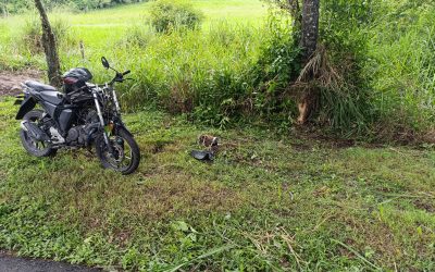 Nueva víctima deja accidente en Ibagué