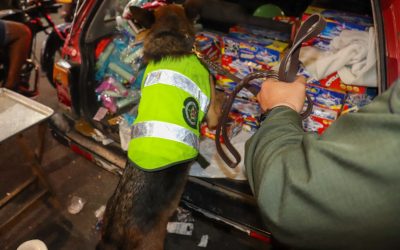 Incautaron más de 10 kilos de pólvora en el Centro de Ibagué