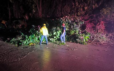 Caída de árboles e inundaciones por fuertes lluvias