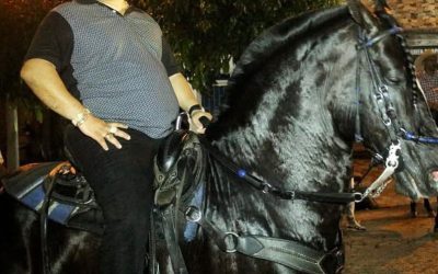 La razón de la muerte de un equino en Carmen de Apicalá