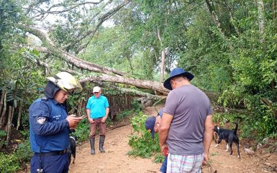 Más de 10 emergencias por lluvias en Ibagué