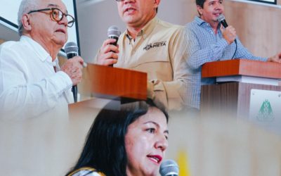 No hubo acuerdo para ajustar el precio del arroz en el Tolima