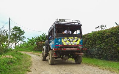 Tolima asegura más de $14 mil millones para transporte escolar
