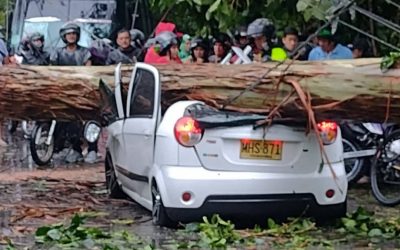 Se salvaron de milagro