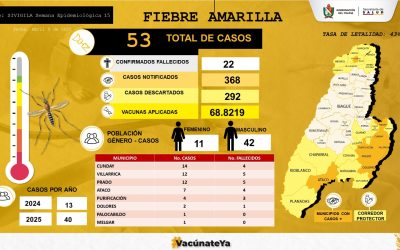 El Tolima declararía la calamidad pública por fiebre amarilla