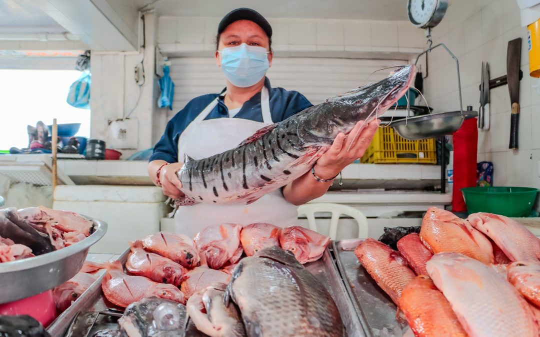 Esta Semana Santa compre  pescado en las plazas de mercado