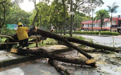 Reporte de emergencias por fuertes lluvias en la madrugada