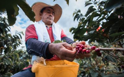 Estos son los 17 mejores cafés que van para Expo Houston 2025
