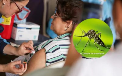 Decreto de emergencia sanitaria por fiebre amarilla salió este lunes