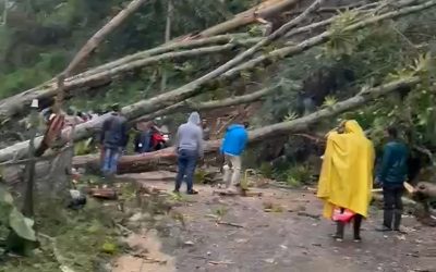 El Tolima tiene 18 municipios en alerta roja por lluvias