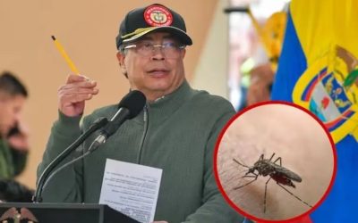 Presidente Petro decretará emergencia sanitaria por fiebre amarilla