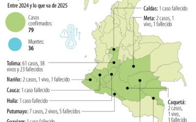 El Ministerio de Salud confirmó 79 casos de fiebre amarilla