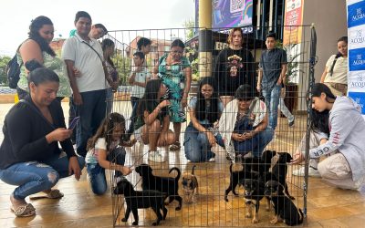 Este viernes jornada de adopción de perros y gatos en el barrio Villa Clara