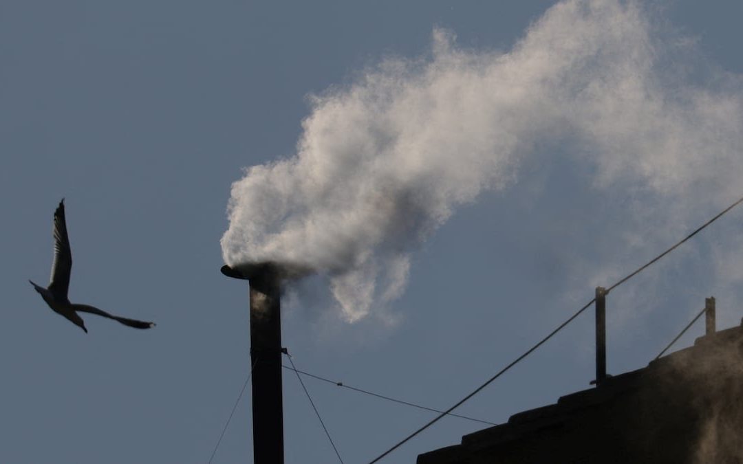 Ya hubo humo blanco, habemus papa