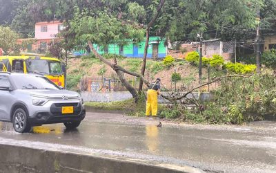 Lluvias de este jueves en Ibagué volvieron a causas daños