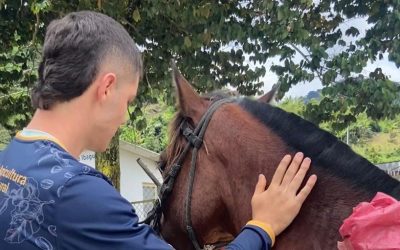 Brigadas de sanidad animal a las veredas de Ibagué
