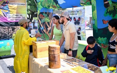 «Día mundial de las abejas»