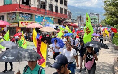 Movilizaciones se toman nueve municipios del Tolima