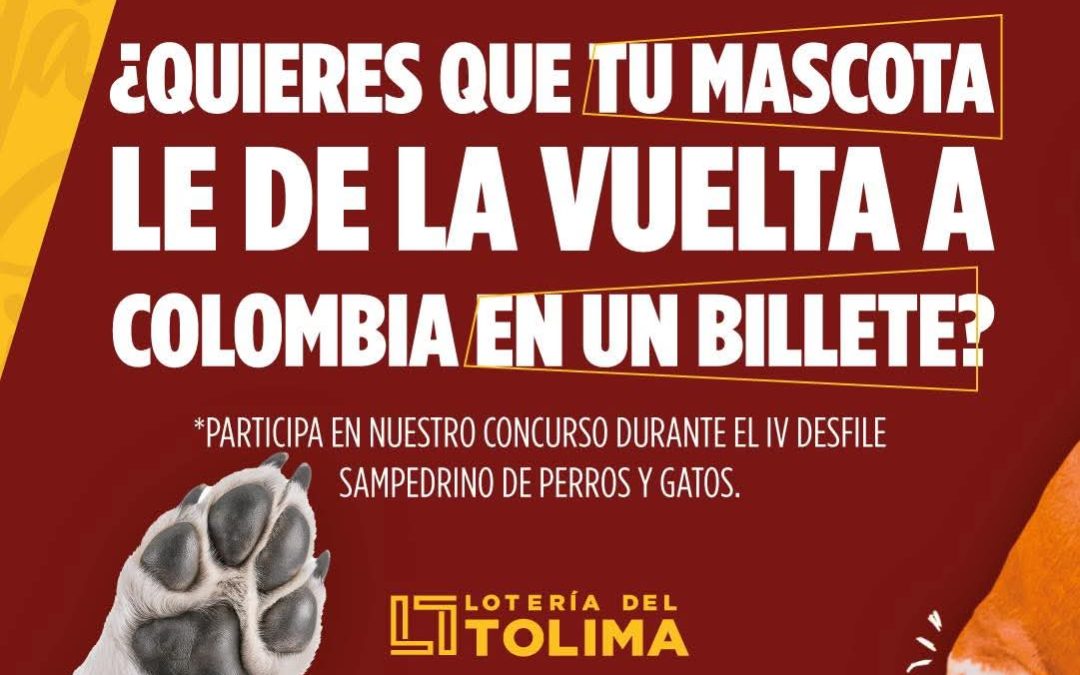 Tu mascota puede ser famosa con la Lotería del Tolima