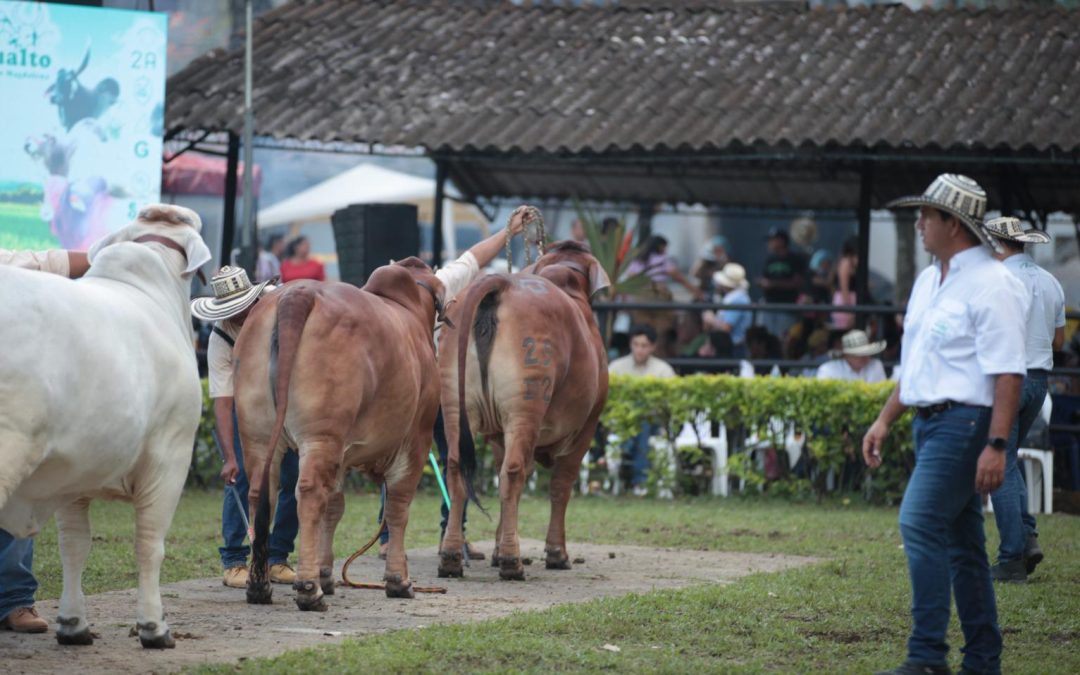 Definida programación de la Feria Agropecuaria e Industrial de Ibagué