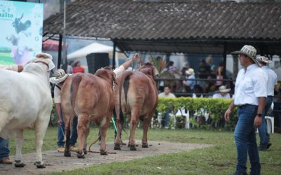 Definida programación de la Feria Agropecuaria e Industrial de Ibagué