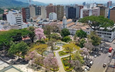 En Ibagué hay 16.800 nuevas personas ocupadas según el DANE