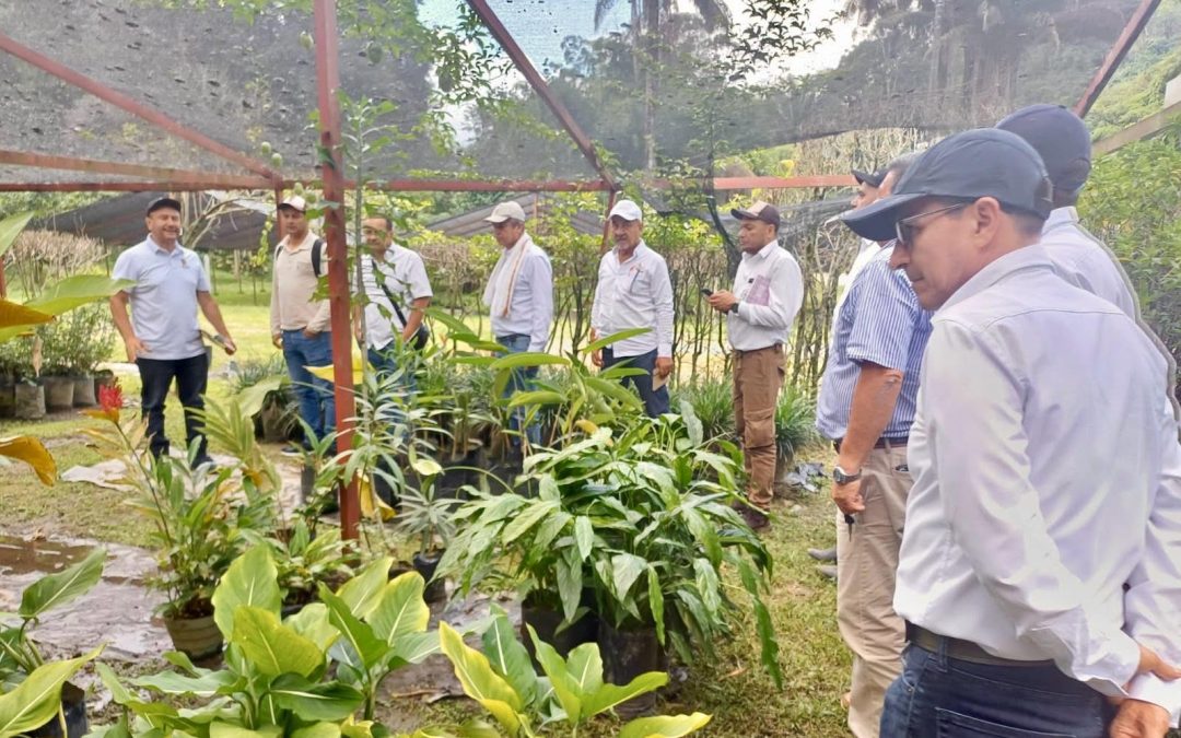 Ibagué impulsa el cultivo de cacao con entrega de insumos a pequeños productores en El Salado